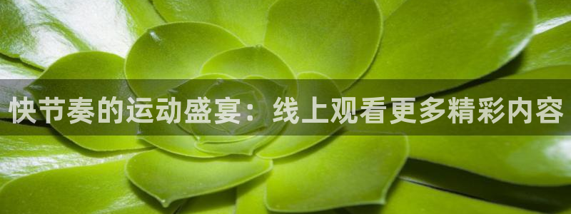 黑白直播jrs直播nba