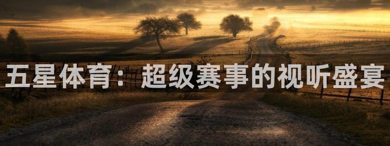 黑白直播nba免费观看下载篮球