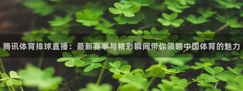 黑白直播足球直播免费观看网站