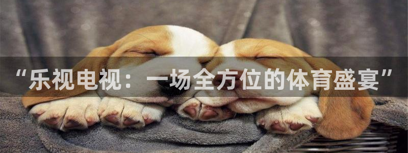 黑白直播间