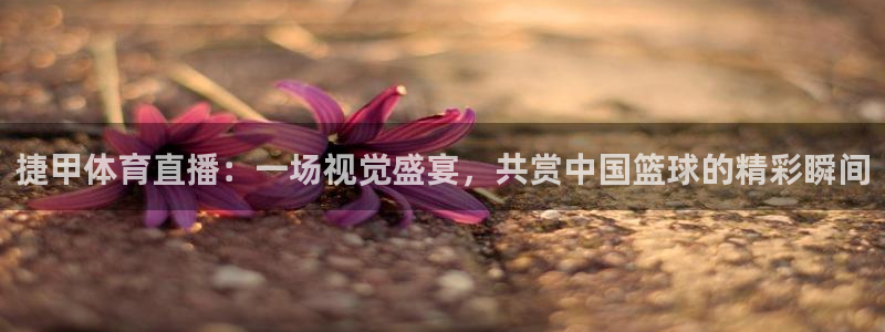 黑白直播高清中文