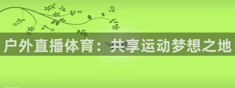 黑白直播世界杯直播入口