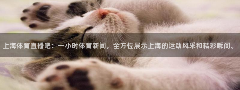 黑白直播nba在线观看