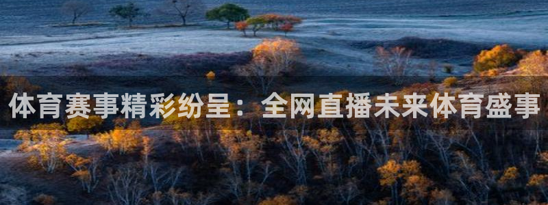黑白直播足球直播英超直播