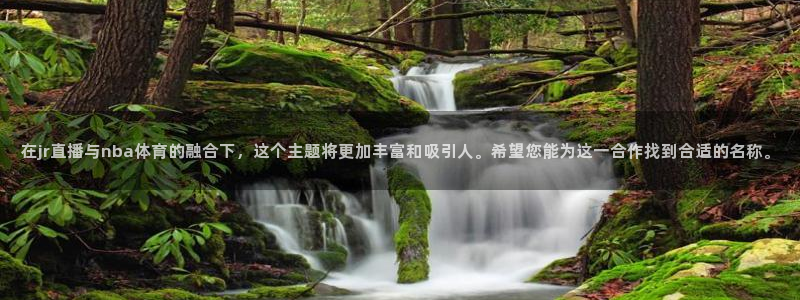 黑白直播旧版安卓版下载