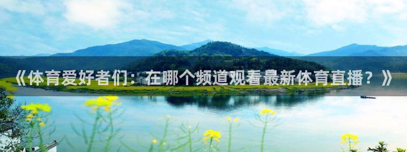 黑白直播世界杯直播入口