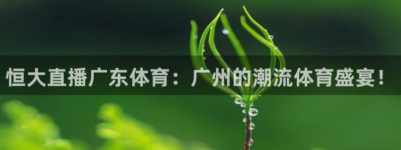 黑白直播nba免费观看下载篮球