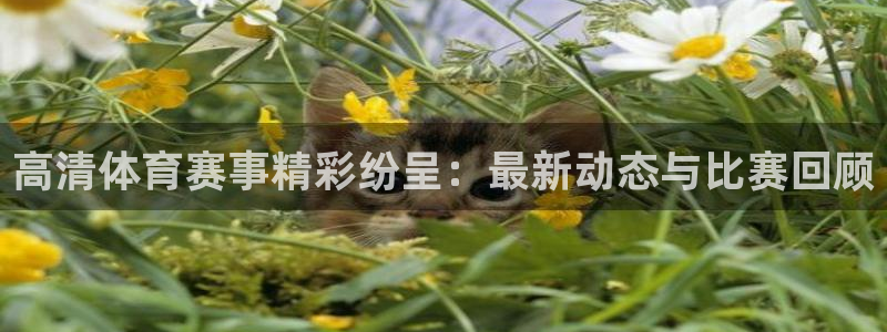 黑白直播免费体育直播